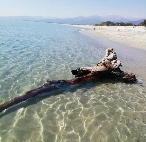 Un Vrai Petit Bonheur En Bord De - 6 Pers. Ghisonaccia